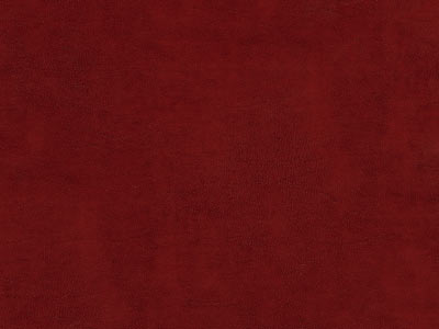 Leatherette Red